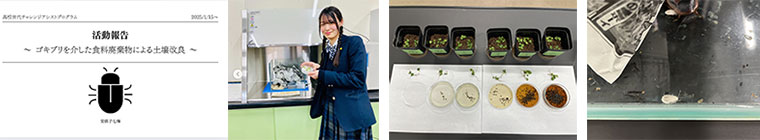 ゴキブリを介した食料廃棄物による土壌改良の実験
